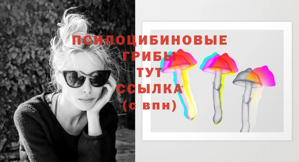 мяу мяу мука Нефтегорск