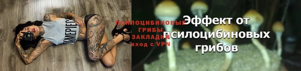 таблы Алзамай